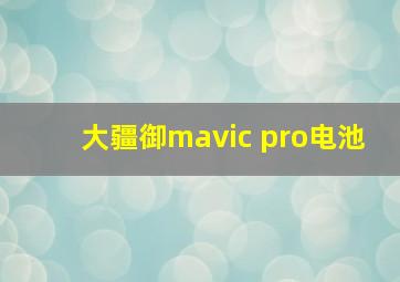 大疆御mavic pro电池